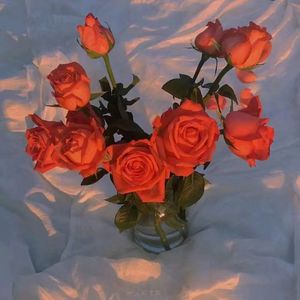 91精品㊙️无码一区二区
